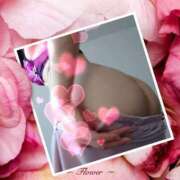 ヒメ日記 2026/04/01 11:15 投稿 こより 奥様の実話 なんば店