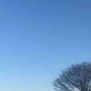 ヒメ日記 2023/12/21 07:38 投稿 小雪(こゆき) 土浦ハッピーマットパラダイス