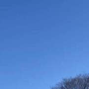 ヒメ日記 2024/03/22 07:37 投稿 小雪(こゆき) 土浦ハッピーマットパラダイス