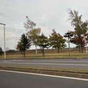 ヒメ日記 2025/01/13 07:37 投稿 小雪(こゆき) 土浦ハッピーマットパラダイス