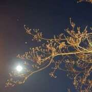 ヒメ日記 2025/01/14 20:47 投稿 小雪(こゆき) 土浦ハッピーマットパラダイス