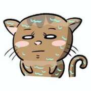 ヒメ日記 2025/01/22 00:07 投稿 小雪(こゆき) 土浦ハッピーマットパラダイス