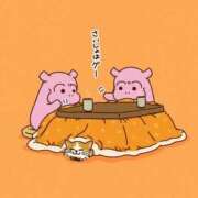 ヒメ日記 2025/02/24 10:17 投稿 小雪(こゆき) 土浦ハッピーマットパラダイス