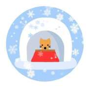 ヒメ日記 2025/03/03 22:17 投稿 小雪(こゆき) 土浦ハッピーマットパラダイス