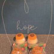 ヒメ日記 2025/03/04 21:07 投稿 小雪(こゆき) 土浦ハッピーマットパラダイス