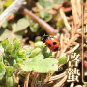 ヒメ日記 2025/03/07 22:27 投稿 小雪(こゆき) 土浦ハッピーマットパラダイス