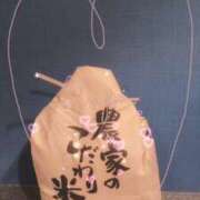 ヒメ日記 2025/03/17 20:57 投稿 小雪(こゆき) 土浦ハッピーマットパラダイス