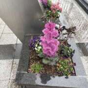 ヒメ日記 2025/03/18 07:47 投稿 小雪(こゆき) 土浦ハッピーマットパラダイス