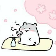 ヒメ日記 2025/03/25 15:57 投稿 小雪(こゆき) 土浦ハッピーマットパラダイス