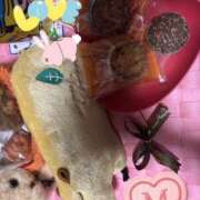 ヒメ日記 2025/03/31 18:47 投稿 小雪(こゆき) 土浦ハッピーマットパラダイス