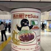 ヒメ日記 2025/04/02 07:37 投稿 小雪(こゆき) 土浦ハッピーマットパラダイス