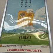 ヒメ日記 2025/04/06 07:37 投稿 小雪(こゆき) 土浦ハッピーマットパラダイス