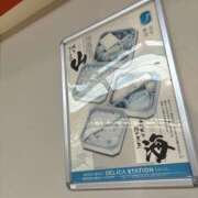 ヒメ日記 2025/04/07 07:37 投稿 小雪(こゆき) 土浦ハッピーマットパラダイス