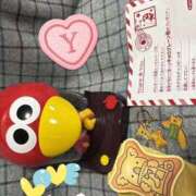 ヒメ日記 2025/04/10 21:57 投稿 小雪(こゆき) 土浦ハッピーマットパラダイス