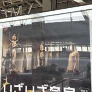 ヒメ日記 2025/04/12 07:37 投稿 小雪(こゆき) 土浦ハッピーマットパラダイス