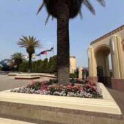 ヒメ日記 2025/05/05 07:47 投稿 小雪(こゆき) 土浦ハッピーマットパラダイス