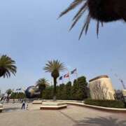 ヒメ日記 2025/05/06 07:42 投稿 小雪(こゆき) 土浦ハッピーマットパラダイス