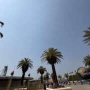 ヒメ日記 2025/05/07 07:47 投稿 小雪(こゆき) 土浦ハッピーマットパラダイス