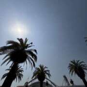 ヒメ日記 2025/05/09 07:37 投稿 小雪(こゆき) 土浦ハッピーマットパラダイス