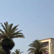 ヒメ日記 2025/05/12 07:37 投稿 小雪(こゆき) 土浦ハッピーマットパラダイス