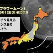 ヒメ日記 2025/05/12 23:07 投稿 小雪(こゆき) 土浦ハッピーマットパラダイス
