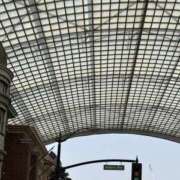 ヒメ日記 2025/05/17 07:37 投稿 小雪(こゆき) 土浦ハッピーマットパラダイス