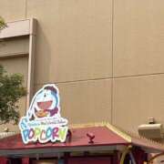 ヒメ日記 2025/05/24 07:37 投稿 小雪(こゆき) 土浦ハッピーマットパラダイス