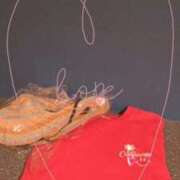 ヒメ日記 2025/06/15 21:27 投稿 小雪(こゆき) 土浦ハッピーマットパラダイス