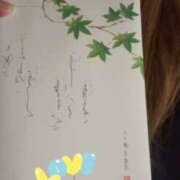 ヒメ日記 2025/06/19 08:47 投稿 小雪(こゆき) 土浦ハッピーマットパラダイス