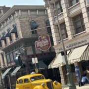 ヒメ日記 2025/06/20 07:37 投稿 小雪(こゆき) 土浦ハッピーマットパラダイス