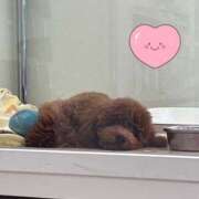 ヒメ日記 2025/06/28 23:47 投稿 小雪(こゆき) 土浦ハッピーマットパラダイス