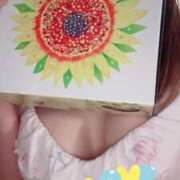 ヒメ日記 2025/06/29 08:37 投稿 小雪(こゆき) 土浦ハッピーマットパラダイス