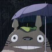 ヒメ日記 2025/06/30 08:07 投稿 小雪(こゆき) 土浦ハッピーマットパラダイス