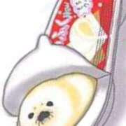 ヒメ日記 2025/07/01 07:37 投稿 小雪(こゆき) 土浦ハッピーマットパラダイス