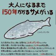 ヒメ日記 2025/07/02 00:07 投稿 小雪(こゆき) 土浦ハッピーマットパラダイス