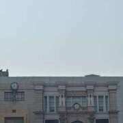 ヒメ日記 2025/07/03 07:47 投稿 小雪(こゆき) 土浦ハッピーマットパラダイス