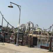 ヒメ日記 2025/07/08 07:37 投稿 小雪(こゆき) 土浦ハッピーマットパラダイス