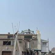 ヒメ日記 2025/07/13 07:47 投稿 小雪(こゆき) 土浦ハッピーマットパラダイス