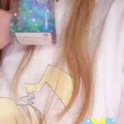 ヒメ日記 2025/07/15 08:17 投稿 小雪(こゆき) 土浦ハッピーマットパラダイス