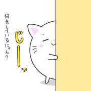 ヒメ日記 2025/07/15 23:57 投稿 小雪(こゆき) 土浦ハッピーマットパラダイス