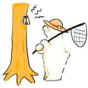 ヒメ日記 2025/07/18 23:37 投稿 小雪(こゆき) 土浦ハッピーマットパラダイス