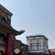 ヒメ日記 2025/07/23 07:57 投稿 小雪(こゆき) 土浦ハッピーマットパラダイス