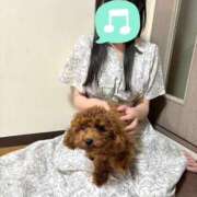 ヒメ日記 2025/07/25 00:17 投稿 小雪(こゆき) 土浦ハッピーマットパラダイス