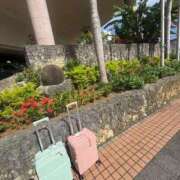 ヒメ日記 2025/07/30 09:57 投稿 小雪(こゆき) 土浦ハッピーマットパラダイス