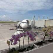 ヒメ日記 2025/07/30 12:08 投稿 小雪(こゆき) 土浦ハッピーマットパラダイス