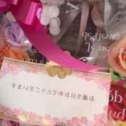 ヒメ日記 2025/07/31 09:17 投稿 小雪(こゆき) 土浦ハッピーマットパラダイス