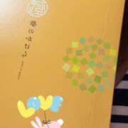 ヒメ日記 2025/08/01 22:27 投稿 小雪(こゆき) 土浦ハッピーマットパラダイス