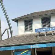 ヒメ日記 2025/08/02 07:47 投稿 小雪(こゆき) 土浦ハッピーマットパラダイス