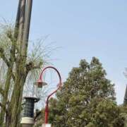 ヒメ日記 2025/08/03 07:47 投稿 小雪(こゆき) 土浦ハッピーマットパラダイス