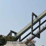 ヒメ日記 2025/08/04 07:47 投稿 小雪(こゆき) 土浦ハッピーマットパラダイス